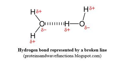 hydrogen-bond-v2