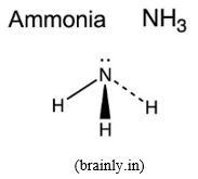 Amonia-diagram